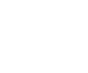 Logo BTN blanco sin fondo